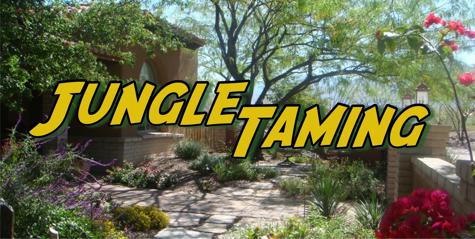 Jungle Taming Logo
