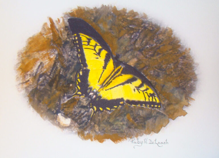 Have You Ever Seen Butter Fly?