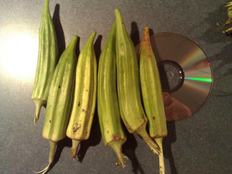 Time to Prepare For Next Year