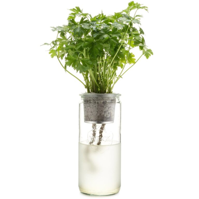 Penny Pinching Perfect Plans to Grow Green Thumbs