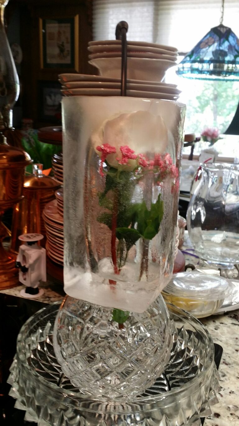 Beat the Summer Heat!